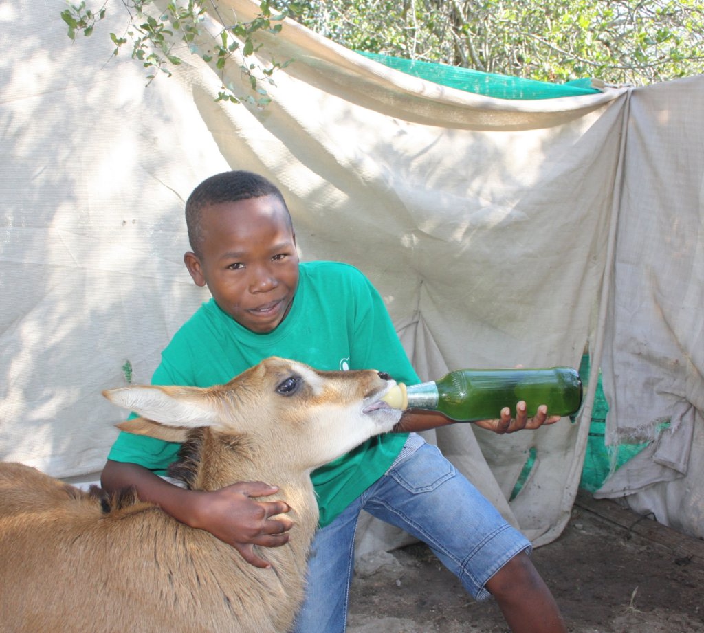 One student feeding a Sable