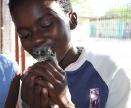 Child & bushbaby