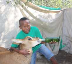 One student feeding a Sable