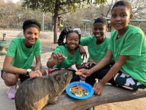 Children feeding our rock hyrax named Caline