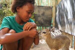 Experiencing caring and being kind to animals
