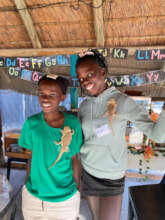 Learning to care for lizards