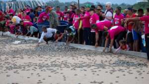 The locals participate in an ecological activity