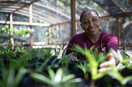 Transforming the Social Finance sector in Brazil