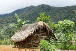 A common nail-less house in Suowi Valley