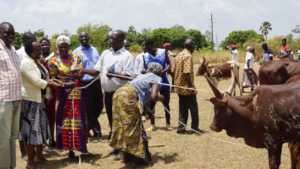 Hope Okeny (ED) handing over a cow to Catherine