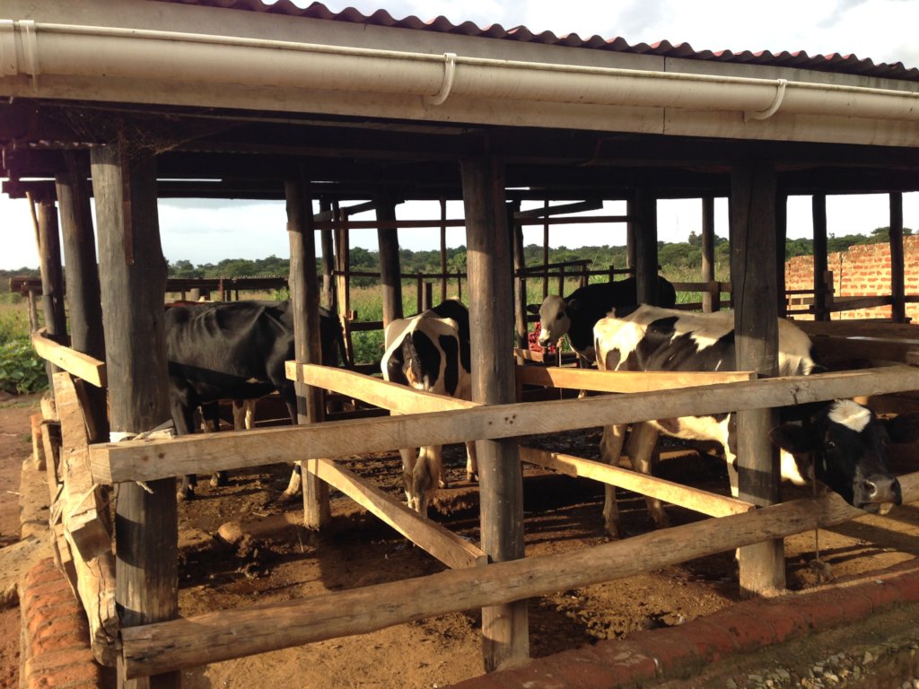 Empowering 240 Cooperative health Insurance groups