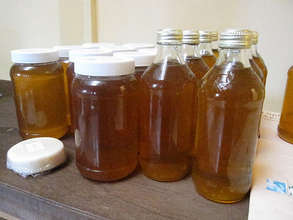 Honey