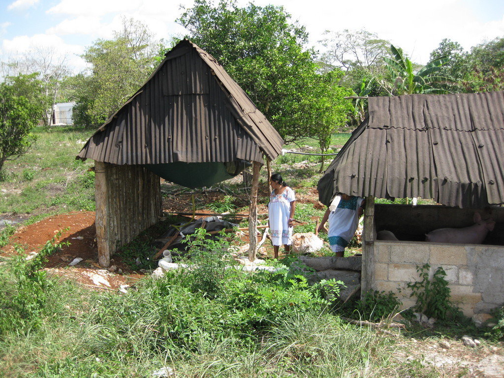 Eco Technology for Indigenous Families in Mexico