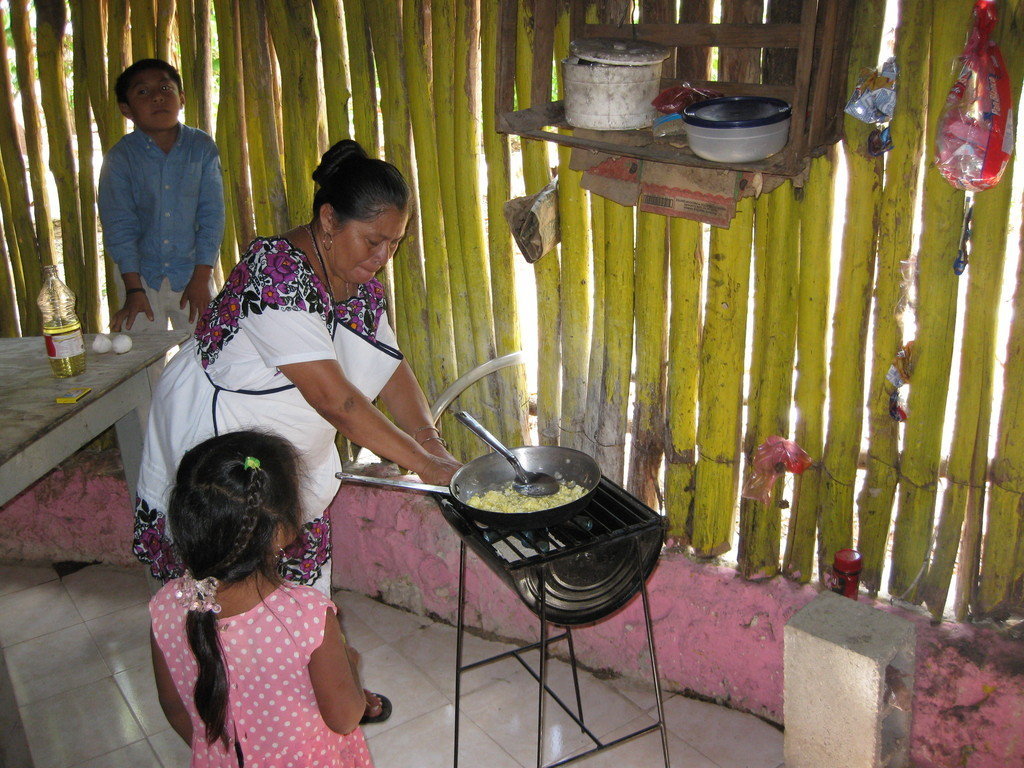 Eco Technology for Indigenous Families in Mexico