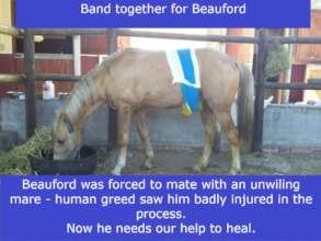 Beauford