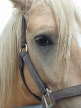 Beauford needs our help.