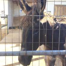 Jack is safely in our care