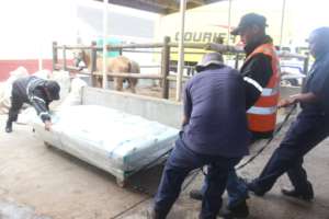Equine Operating Table arrives at the CoGH SPCA