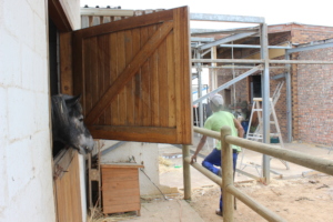 Chief watches building