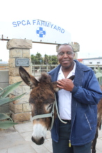 Donkeys need our help