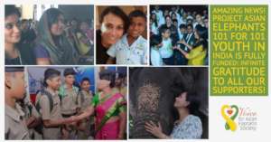 Infinite Gratitude!!