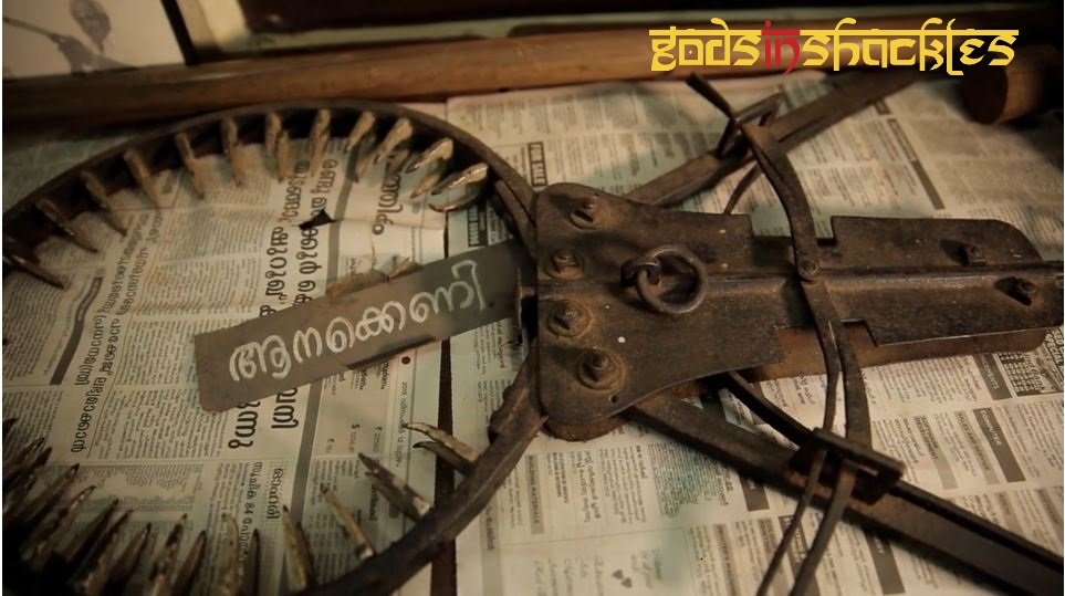 Project Asian Elephants 101 for 101 Youth in India