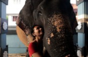 Project Asian Elephants 101 for 101 Youth in India