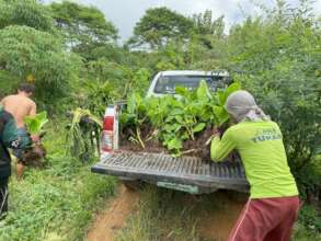 Continue with assistance