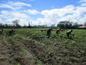 Parents working on the field