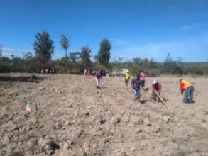 Getting the field ready to plant