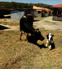 Razshi and her baby