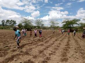 Parents farming the field