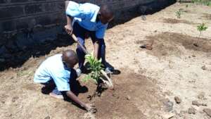 Loving and caring for nature