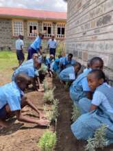 Planting lavender as a school project