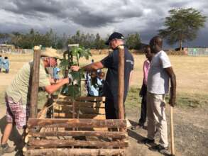 Planting trees for the future