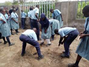 Preparing the School Garden for Planting