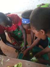 Teaching the Children How to Wash Vegetables