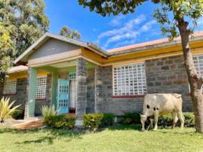 Cow at the Education Center