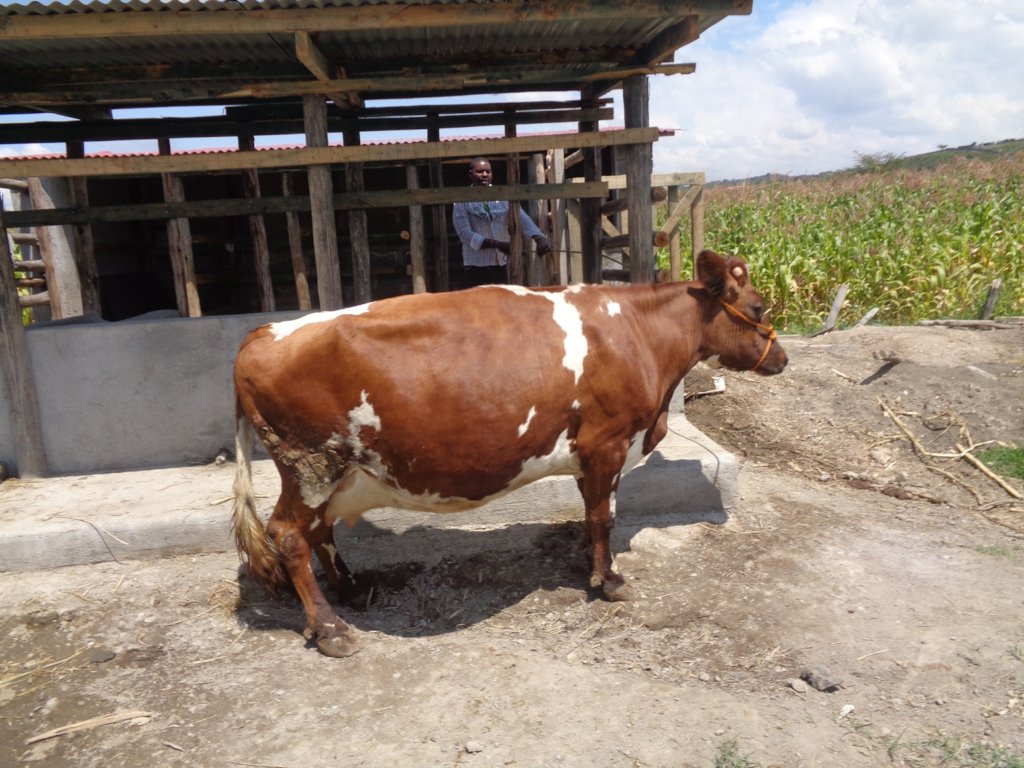 Don't Just Give Them Food-Teach Them How to Get It