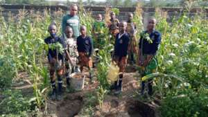 Planting trees under their teacher's supervision