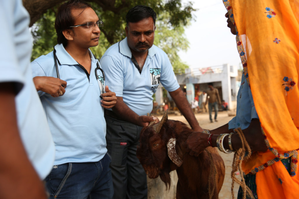 Veterinary care for animals of India's rural poor