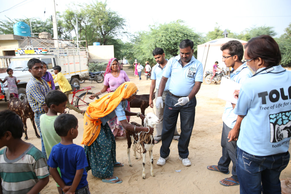 Veterinary care for animals of India's rural poor