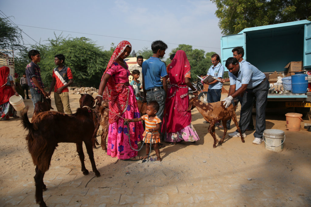 Village veterinary hot sale hospital