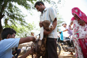 RAH Mobile Clinic