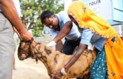 Veterinary care for animals of India's rural poor