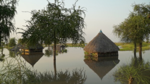 Flooded homestead, South Sudan