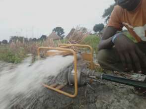 Giving A Helping Hand with Water Pumps