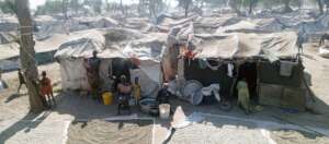 Emergency homes for 20,000 people.