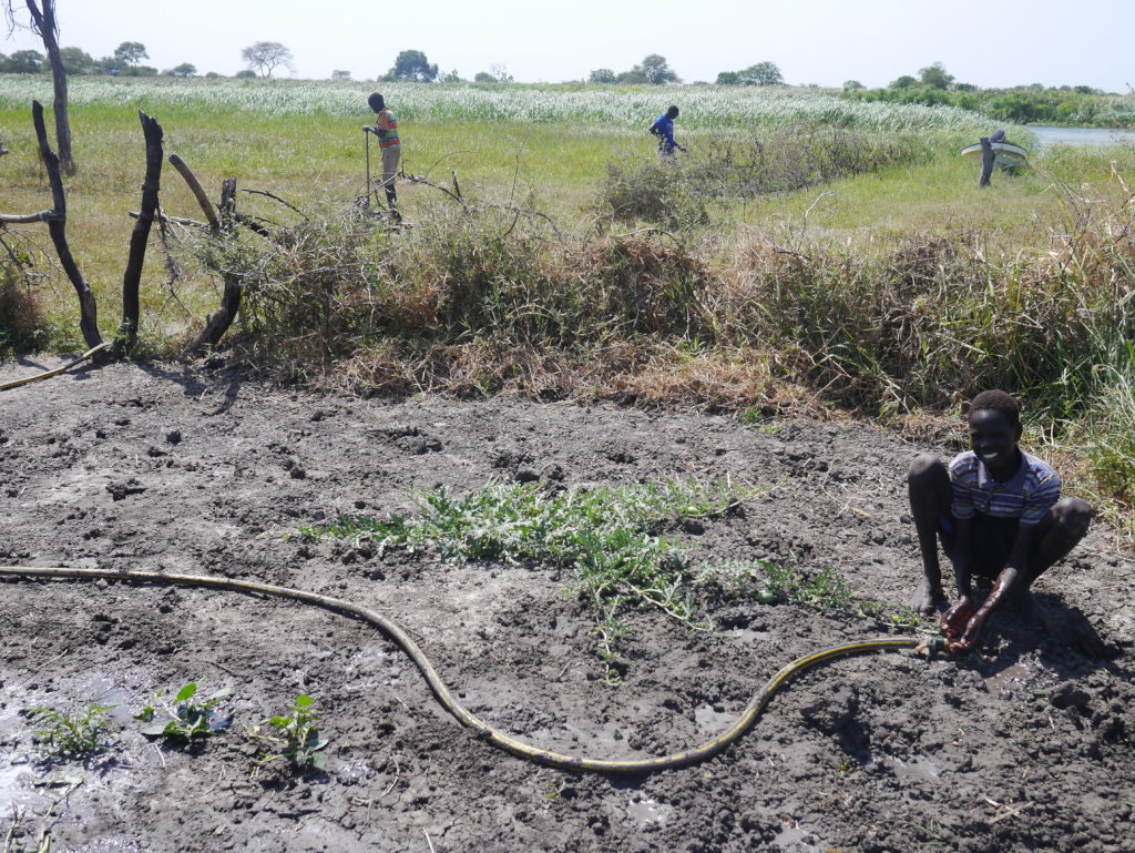 Food & Water for Refugees in South Sudan