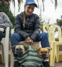Bringing two dogs for care in Quillahuata