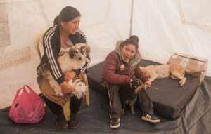 Villagers with their dogs at the mobile clinic