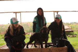 Helping dogs in rural Cusco
