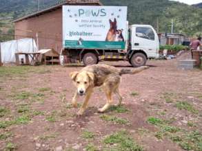 "PAWS Patrol" Mobile Clinic