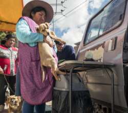 Neighbors gathering at the mobile vet clinic